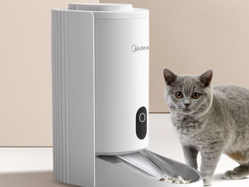 智慧生活频道 深度解码家用电器如何重塑现代生活